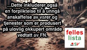 Færder kommune skal avstå fra anskaffelse av varer produsert på ulovlig okkupert område